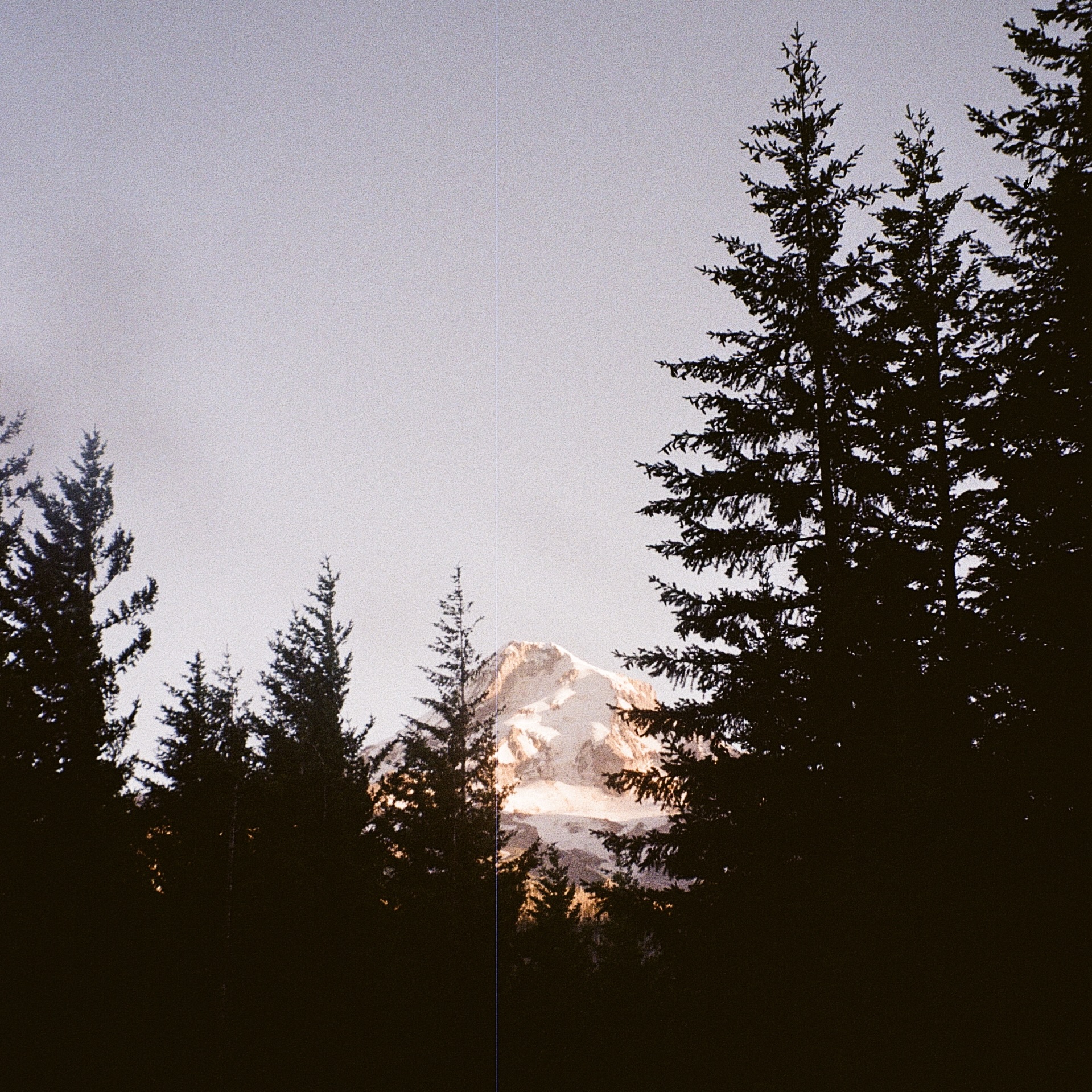 Mt Hood